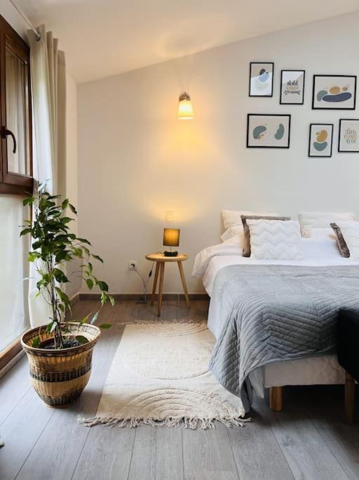 Superbe Maison Plein Centre Merville  エクステリア 写真