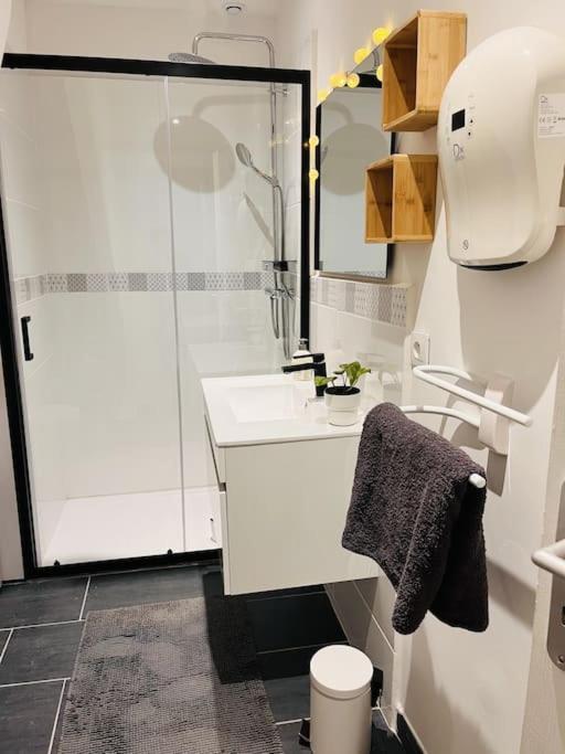 Superbe Maison Plein Centre Merville  エクステリア 写真